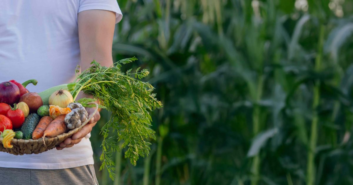 Ce légume est en réalité le plus contaminé par les pesticides