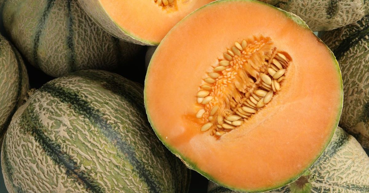 Rappel produits : ces melons vendus chez Leclerc, Franprix, Carrefour, Intermarché, Coccinelle sont contaminés