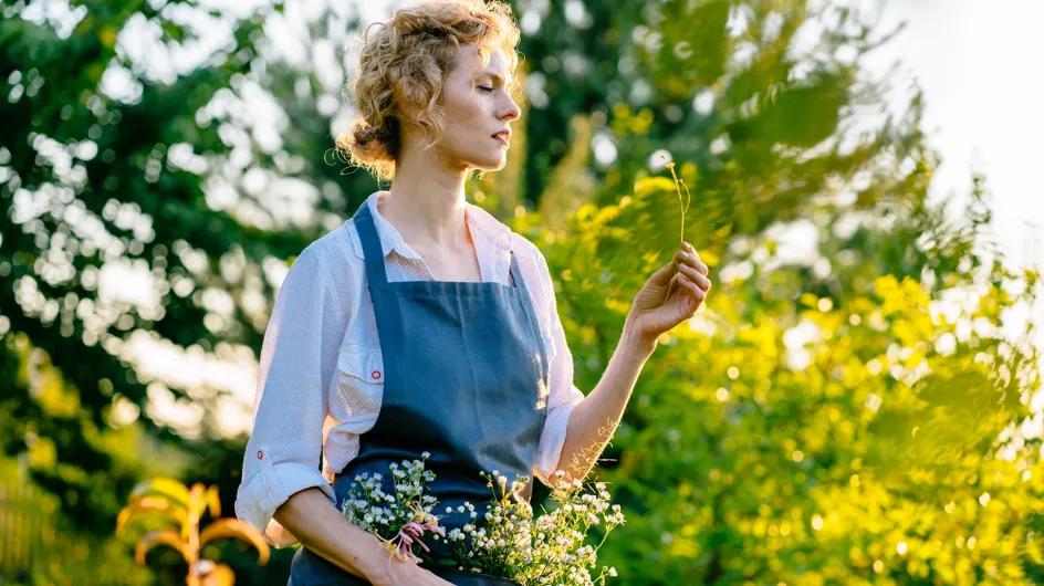 Si plantas estas 5 flores en agosto podrías disfrutar de un jardín lleno de color en primavera (palabra de experto)