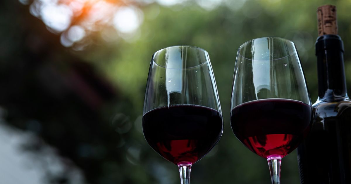 Baisse de prix conséquente pour ce lot de 3 bouteilles de vin rouge bio très apprécié des connaisseurs