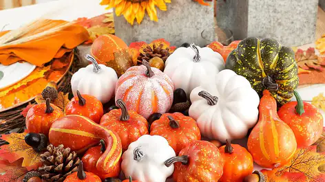 Chemin De Table Automne - Motif Citrouilles Et Feuilles D'Érable - 33x183 Cm - Décoration Saisonnière Cuisine, Salon, Extérieur