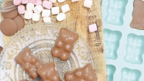 Ygapuzi Lot De 2 Bacs à Glaçons En Forme D'ours En Forme D