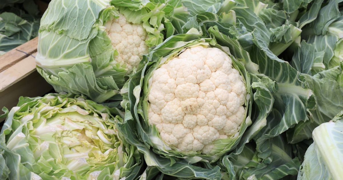 Crise du chou-fleur : que se passe-t-il et pourquoi appelle-t-on à soutenir les agriculteurs ?
