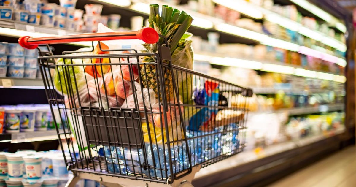 Ce site malin permet de faire ses courses moins cher : voici l&rsquo;idée d&rsquo;entrepreneurs audacieux