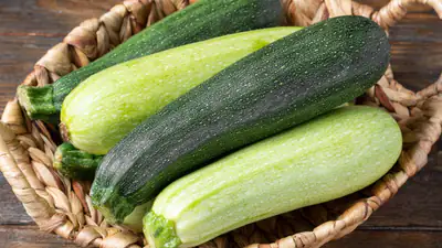 Weder im Gemüsekorb, noch im Kühlschrank: Die Zucchini kann an diesem Ort viel besser gehalten werden, bis zu 3 Monate, ohne beschädigt zu werden