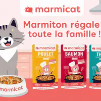 Marmicat : Marmiton lance sa première gamme de recettes pour chats