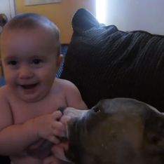 Video/ Coccole e bacini: le tenerezze tra un bimbo e il suo pit bull... da non credere!