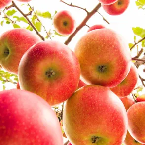 How D'you Like Dem Apples: Tesco To Launch Mad New Pink Apples