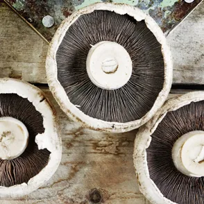 The Undervalued Superfood: 11 Amazing Health Benefits Of Mushrooms