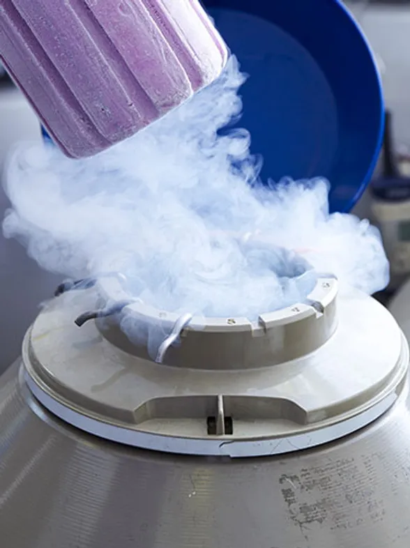 Apple And Facebook Will Pay To Freeze Your Eggs: A Work Perk Or Blatant Manipulation?