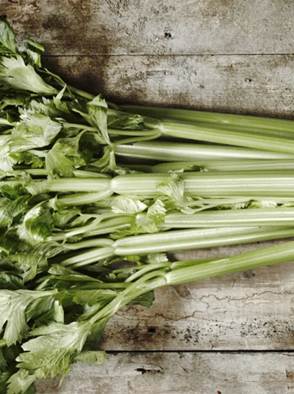 Why Celery Is About To Be Your Go To Health Food: Veggie May Help Prevent Cancer