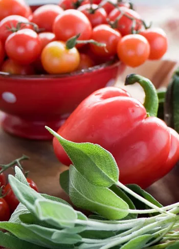 10 mythes over vegetariërs doorprikt