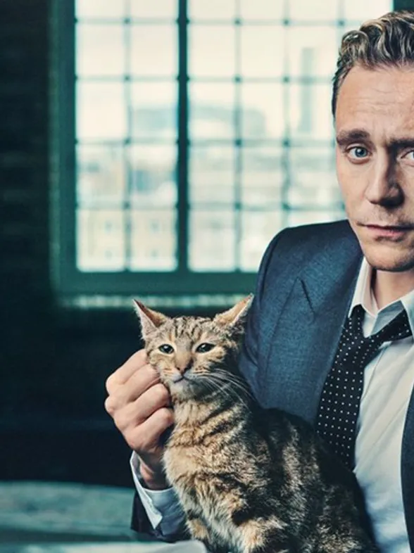 Hombres sexys y gatos, la combinación más irresistible