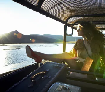 Er even tussenuit: 5 ideeën om groen te ontspannen