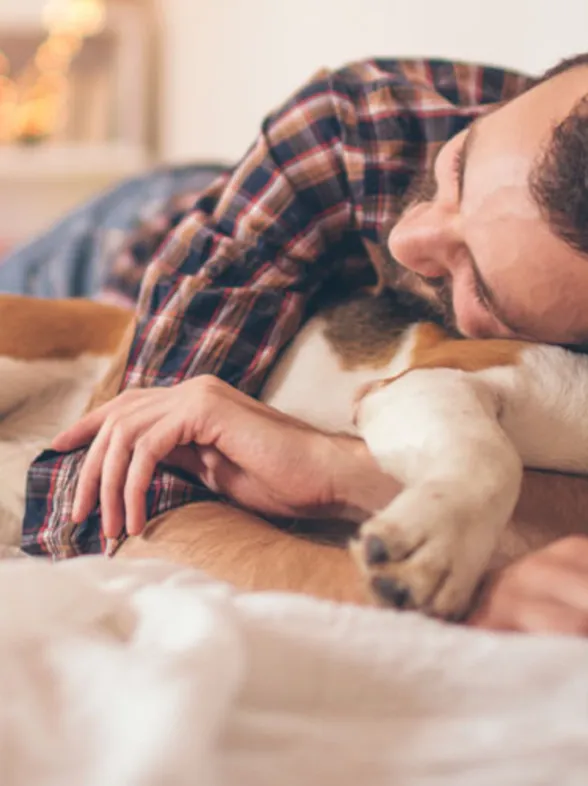 ¡Estas 30 mascotas son exactamente igual que sus dueños!