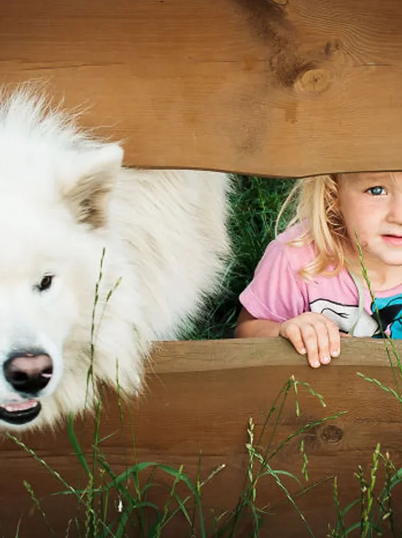 30 fotos que demuestran que tus hijos necesitan un perrito en sus vidas