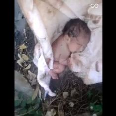 Cet homme a sauvé un bébé abandonné dans la rue au Mexique (Vidéo)