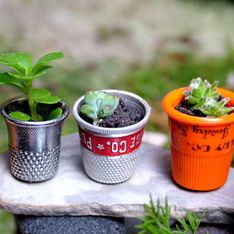 25 ideas mini para decorar tu casa con plantas