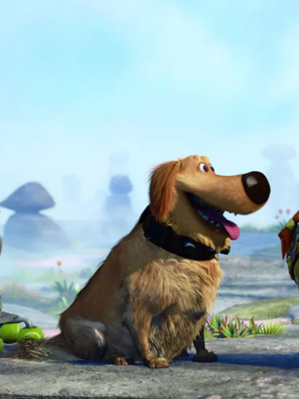 17 cosas que nunca debes decirle a un amante de los perros