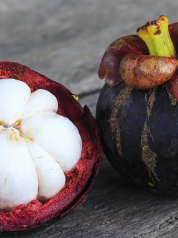 El mangostino, una fruta exótica para hacer frente al verano
