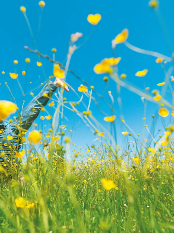 5 natuurlijke oplossingen voor een optimale darmtransit