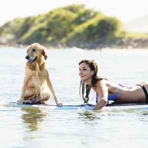 Alergias de verano: ¿estás a salvo?