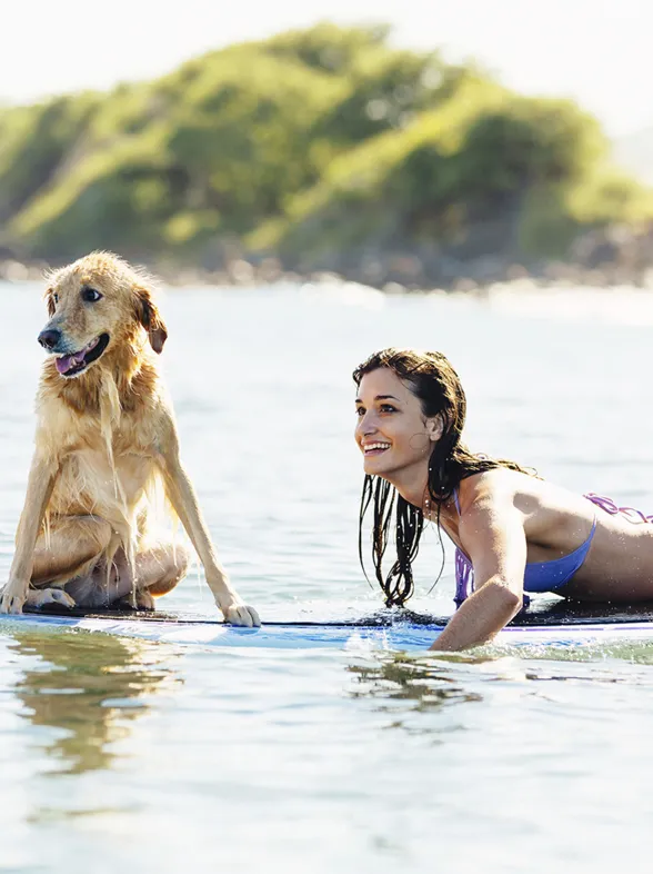 Alergias de verano: ¿estás a salvo?