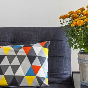 30 maneras originales de decorar tu hogar con plantas de interior