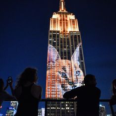 L'Empire State Building s'illumine pour les animaux en danger