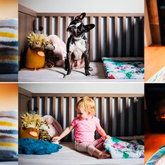 Bebê e cachorro são fotografados em cenários e poses idênticas