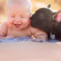 Bebê e bulldog francês que nasceram no mesmo dia vivem como irmãos
