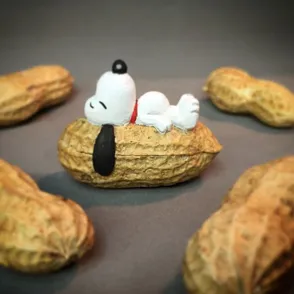 ¿Qué se esconde detrás de un cacahuete? ¡Descubre estas geniales esculturas hechas con él!