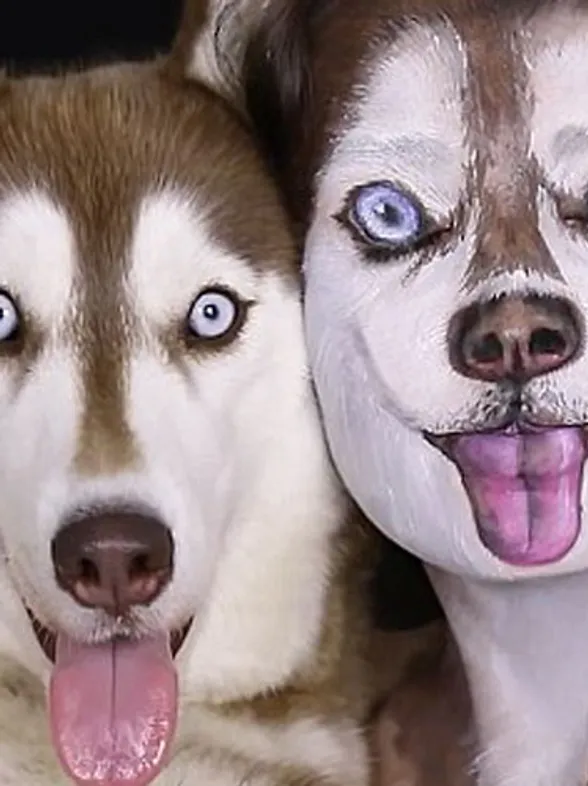 Watch This Super Talented Makeup Artist Transform Herself Into A Crazy Realistic Dog