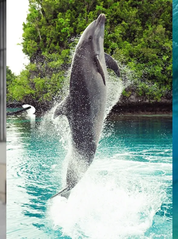 Your Free Monthly Horoscope: Read September's Forecast For Pisces!