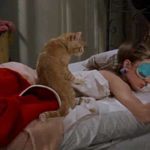 El día que tu almohada te hizo rejuvenecer