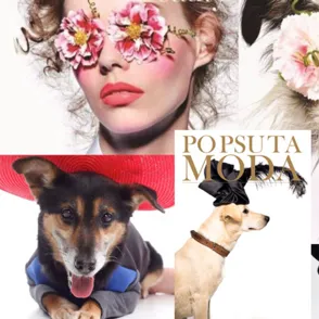 ¿Y si un perro abandonado fuera portada de una revista de moda?
