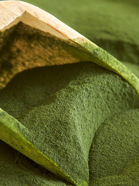 10 beneficios de la chlorella y cómo introducir este superalimento en tu vida