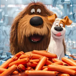 7 cosas que solo entenderás si eres una amante de los perros