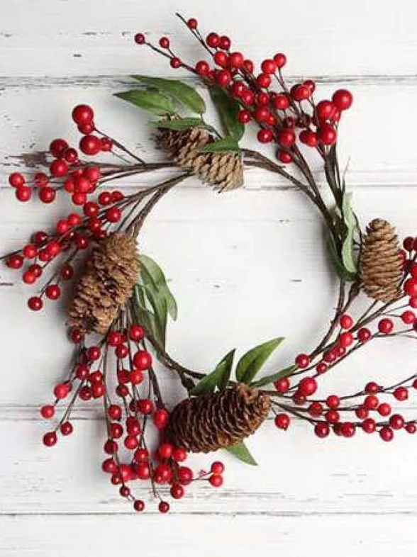 Plantas de Navidad: descubre sus curiosidades y cuidados
