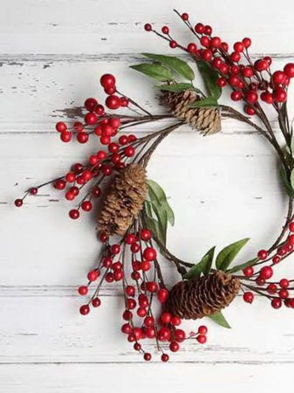 Plantas de Navidad: descubre sus curiosidades y cuidados