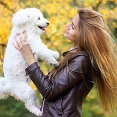 13 provas de que é melhor ter um cachorro do que um namorado