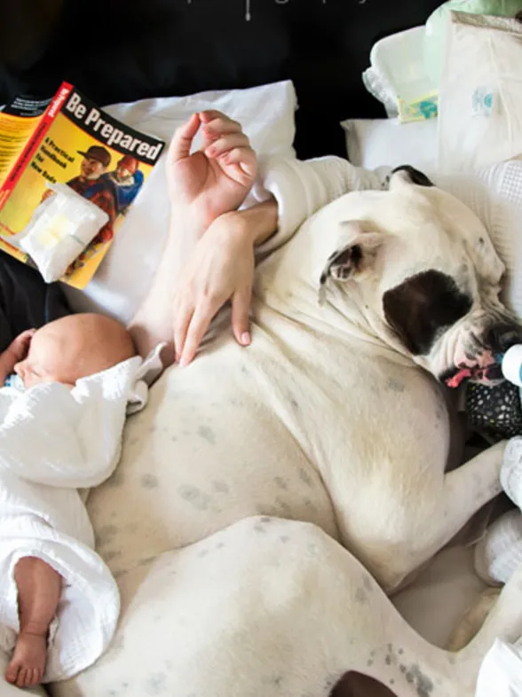 18 imágenes divertidas que demuestran que ser padres no siempre es fácil