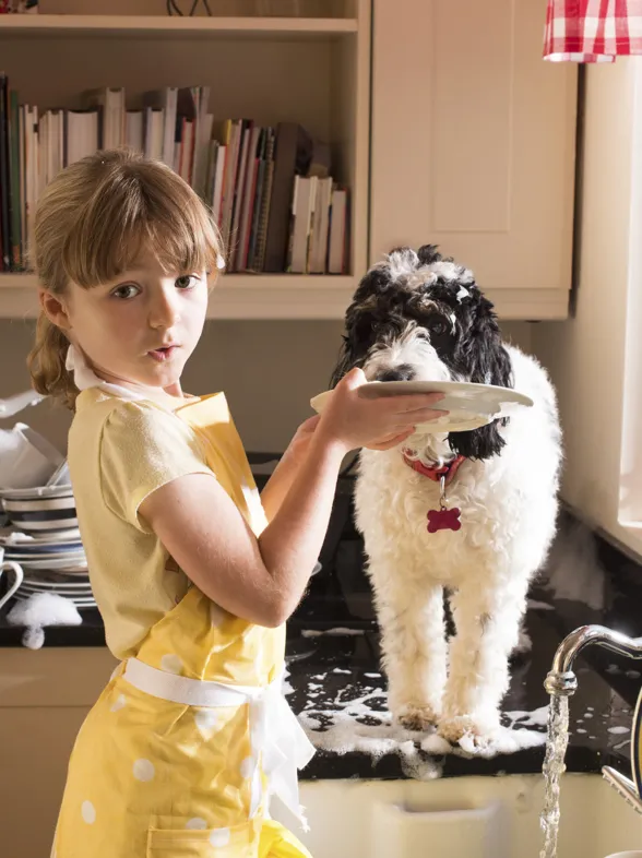 Pros y contras de tener una mascota en casa