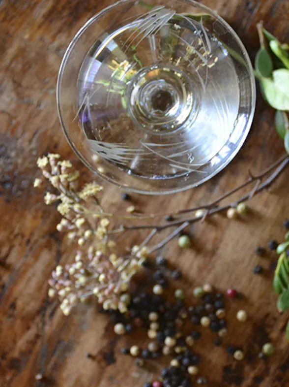¡Día del gin tonic! 35 regalos muy originales para una amante de la ginebra