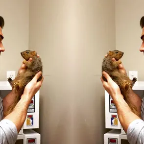 This Is The Most Handsome Vet We've Ever Seen