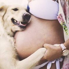 20 perros que esperan ansiosos el nacimiento de un bebé