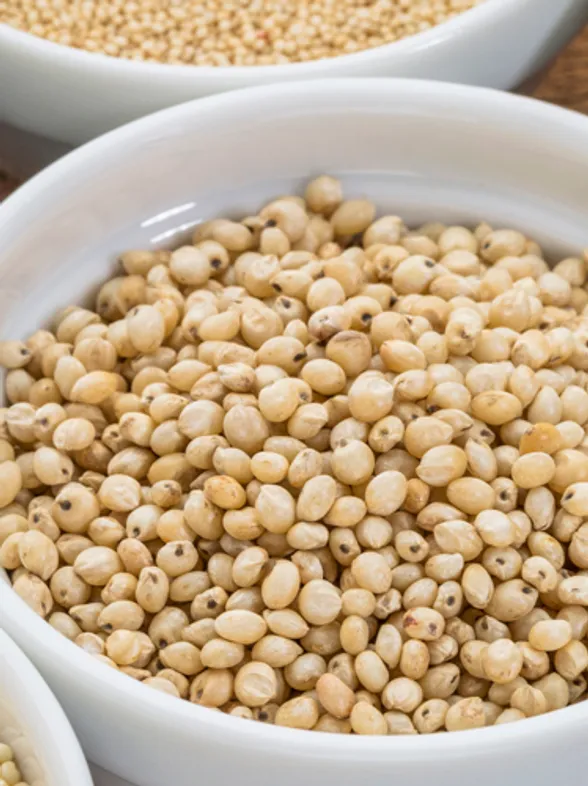 ¿Has oído hablar del sorgo? Una tendencia gastro que llega de África