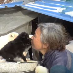 Cette mamie sud-coréenne élève les 200 chiens qu'elle a sauvés de la mort