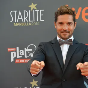¡David Bisbal tiene nueva novia!