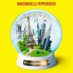 Pourquoi il faut lire N’oubliez pas de tomber amoureuse à Paris de Mademoiselle Peppergreen